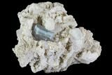Aquamarine Crystal in Albite Crystal Matrix - Pakistan #111367-1